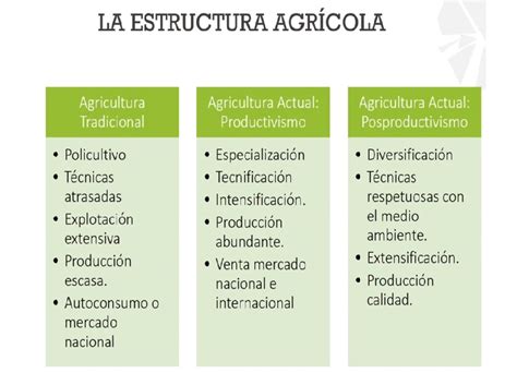 TUS CIENCIAS SOCIALES 355 LA ACTIVIDAD AGRARIA EN ESPAÑA ESTE AÑO