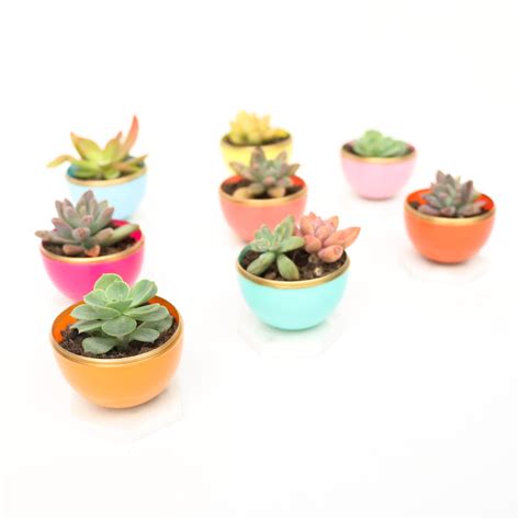 Craft It DIY Mini Spring Succulent Planters A Kailo Chic Life