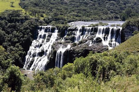 Brasil Precisa Recuperar Milh Es De Hectares De Vegeta O Nativa