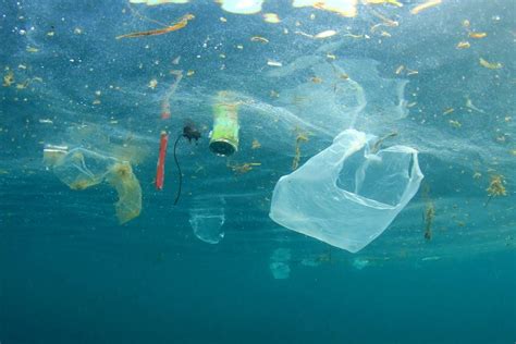 Telemacos Mareo Imperio Inca Consecuencias De Las Bolsas De Plastico