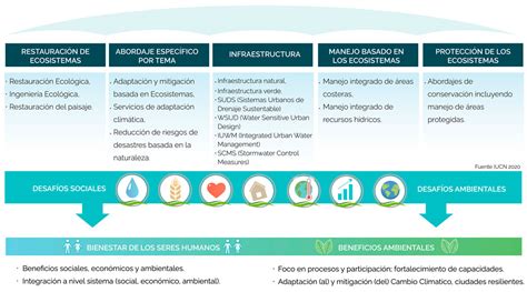 Soluciones Basadas En La Naturaleza