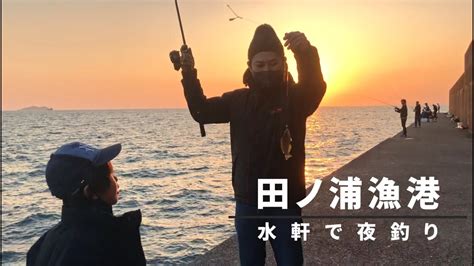 和歌山県田ノ浦漁港で夕マズメを狙う！夜は水軒で車横付けして釣り！ Youtube