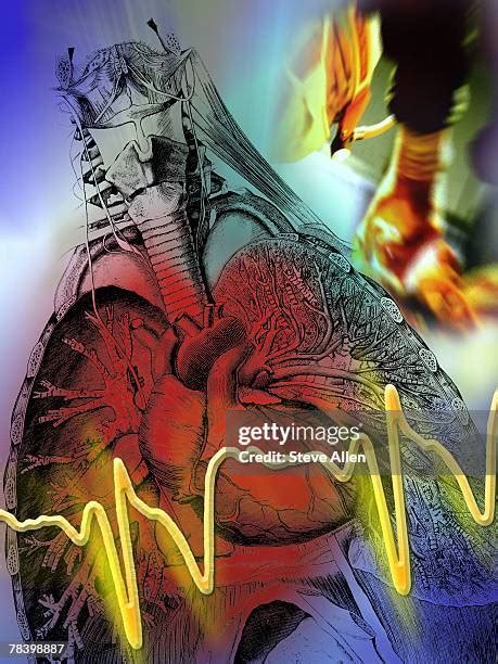 Cardiac Cycle Diagram Photos and Premium High Res Pictures - Getty Images