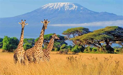 The 7 Most Beautiful Places In Africa