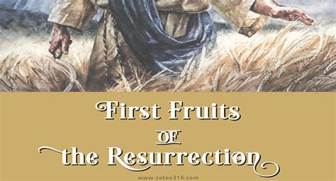 First Fruits Of The Resurrection Zeteo 316