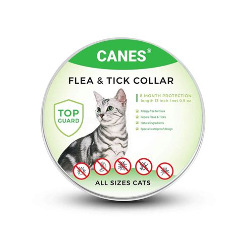 Flea Treatment For The Cat: The Most Efficient Way - Top Cat Breeds