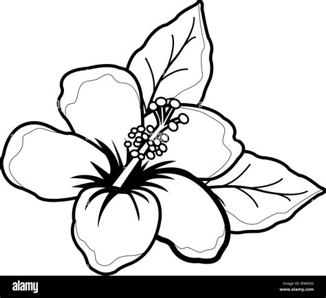 Vector Illustration D Un Cartoon Style Hawaiian Hibiscus Flower Livre