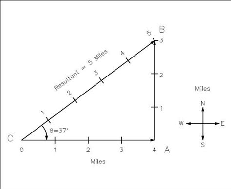 Vector Scale Diagram At Collection Of Vector Scale