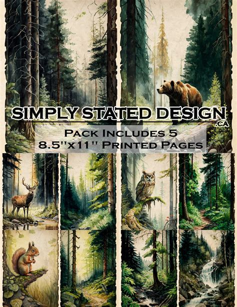 Forest Scenes 85 X 11 Paper Pack Simplystateddesign