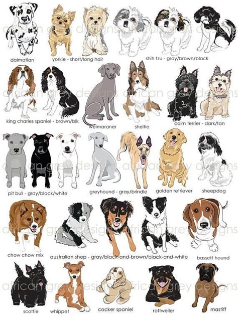 Pin by Julie Bailey on Dogs | Cute dogs, Dog breeds, Canine art