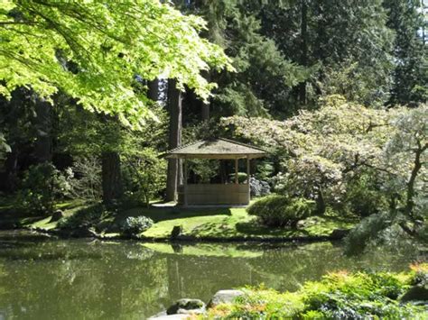 Ubc Botanical Garden And Nitobe Memorial Garden Tj Online