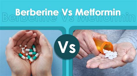 Berberine Vs Metformin Dr Rajat Trehan