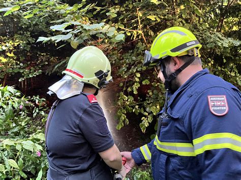 Feuerwehren Ben F R Den Ernstfall Waldbrand Schulung In Gr Nbach