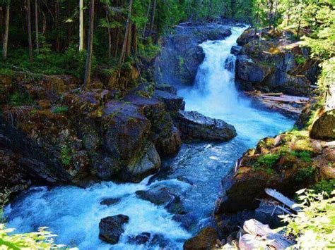 7 Best Mount Rainier Hiking Trails for Easy to Moderate Adventures