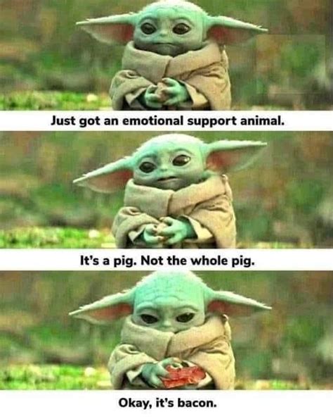 Star Wars Pictures Star Wars Images Yoda Quotes Yoda Funny Yoda