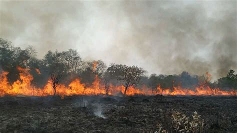 La Cifra De Incendios Activos Subió A 62 Y Más De Un Millón De Hectáreas Fueron Afectadas Por El