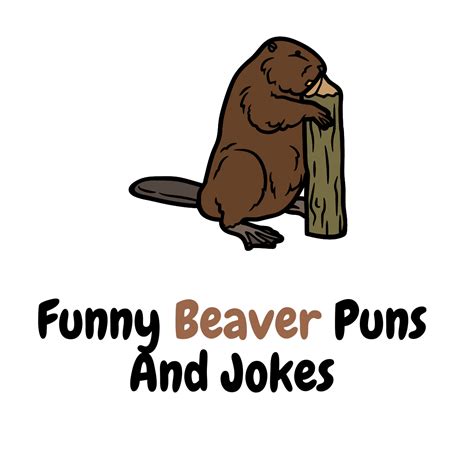 90 Funny Beaver Puns And Jokes Chewing The Wood Funniest Puns