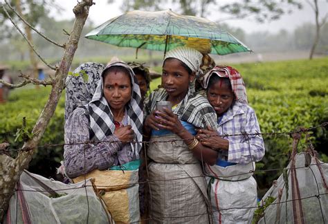 How Assam Tea Garden Workers Faced Torture And Abuse For Years Youth Ki Awaaz