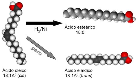 Hidrogenación