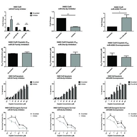 Modulation Of Mirnas In Cisplatin Resistant Non Small Cell Lung Cancer