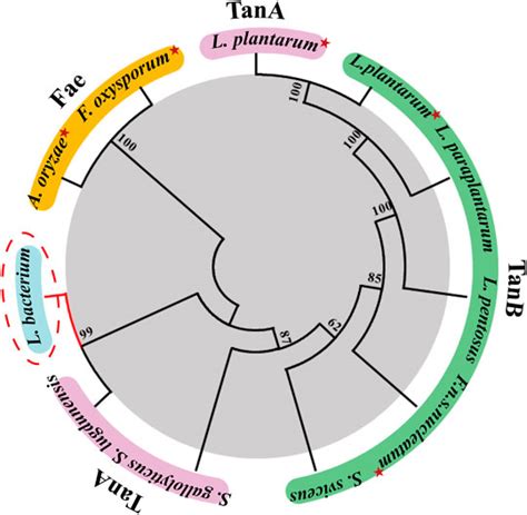 Frontiers Biochemical And Structural Characterization Of A Novel