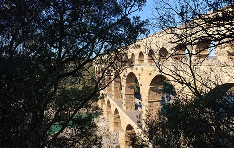 Découvrir La camargue la provence lors de votre séjour à Nimes NIMOTEL