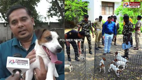 Ragos Kennel Has Reached A Milestone In Kerala Police Department Dog