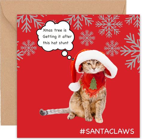 Felbridge Studio Cat Christmas Cards Funny Humorous Xmas Card For