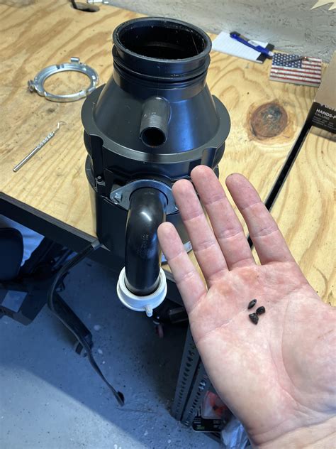 Fish Tank Gravel Stuck In Garbage Disposal at Lester Watkins blog