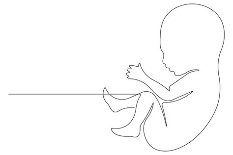 Continuous single line art drawing of baby sketch and concept outline ...