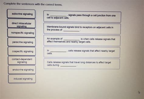 Solved Complete The Sentences With The Correct Terms