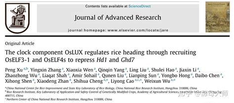 客户文章中国水稻研究所超级稻育种研究团队用y2h等技术揭示时钟成分 Oslux 通过募集 Oself3 1 和 Oself4s 抑制hd1和