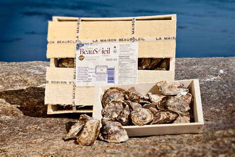 Beausoleil Oysters - Carolina Meat & Fish Co.