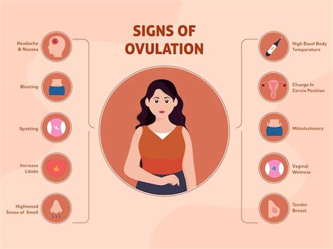 Premium Vector 10 Signs Of Ovulation Icons Over Peach Background