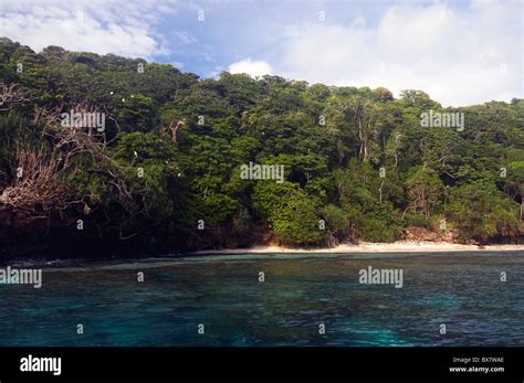 Reefs, beach and forest at Ethel Cove, Christmas Island National Park ...