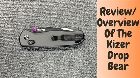 The Kizer Drop Bear Is My Favorite Bear A Great EDC Knife For Anyone