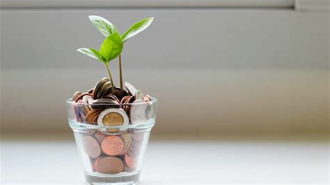 Different Types of Savings Account Interest Rates Explained