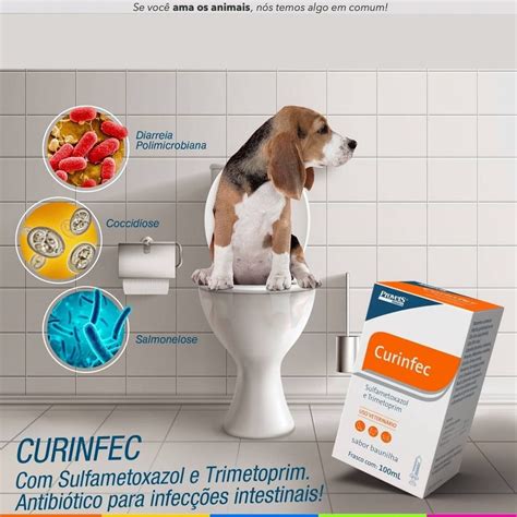 Curinfec Rem Dio Para Tratar Infec O Intestinal Em C Es E Gatos Ml