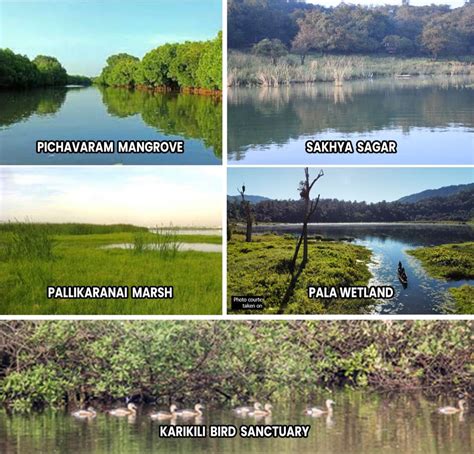 PIB India On Twitter India Designates 5 New Ramsar Sites India Has