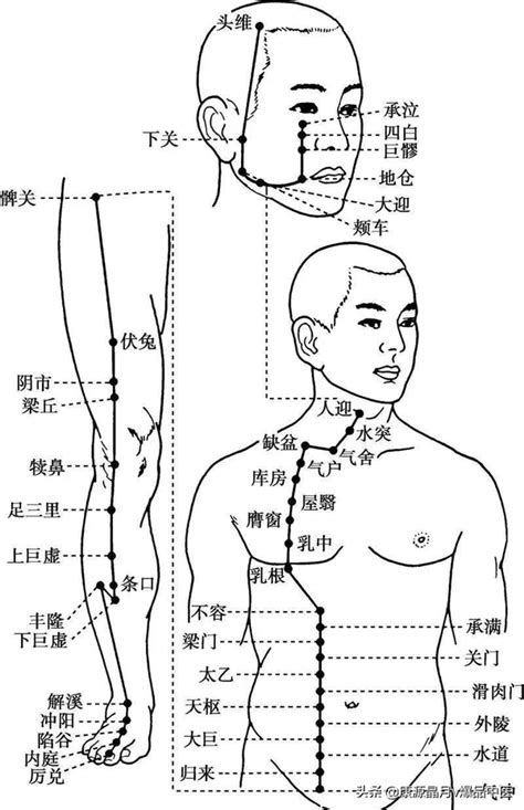 十四经脉背诵歌诀 知乎