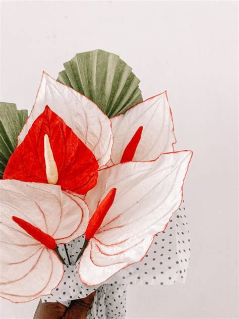 Taller Anturios De Papel Crepe Grabaci N Taller En Directo Flores