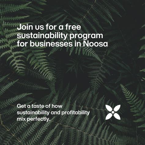 Noosa Council On Linkedin Are You A Small Business That Wants To