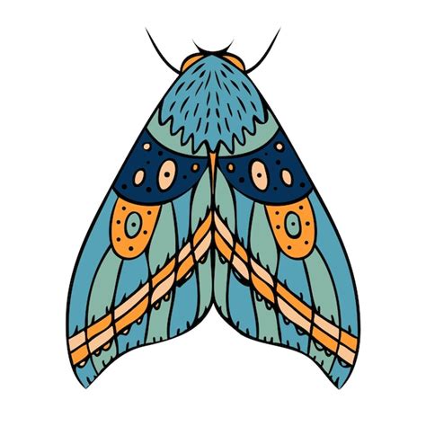 Premium Vector Night Butterfly Moth Hand Drawn Vector Illustration