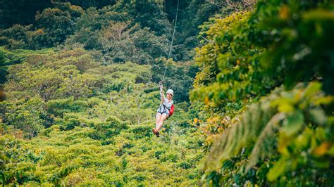 The most extensive zip line tour in Monteverde | Selvatura Park