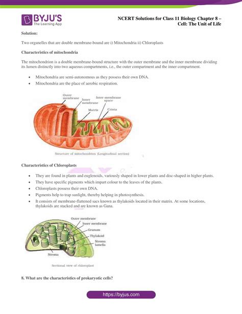 Ncert Solutions Class 11 Biology Chapter 8 Cell The Unit Of Life