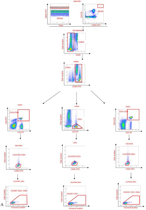 Validation Of A Flow Cytometry Based Method To Quantify Viable