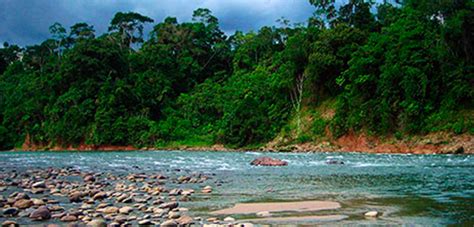 Naturaleza Explora La Magia De Ecuador RadioTurismoEcuador