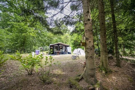 Rcn Camping De Noordster Leuke Hondencampings