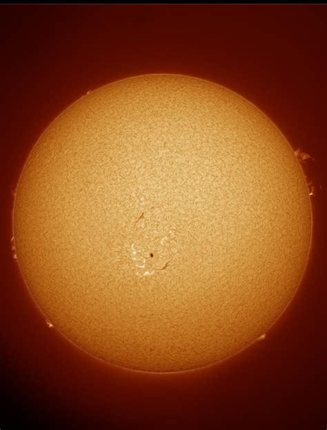 Today S Sun In Hydrogen Alpha With A Nice Prominence R Astrophotography