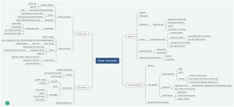 Spider Diagram Templates Examples For Effective Mind Mapping